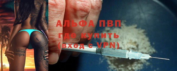 PSILOCYBIN Елизово