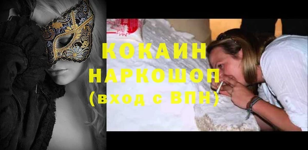 Альфа ПВП Ельня