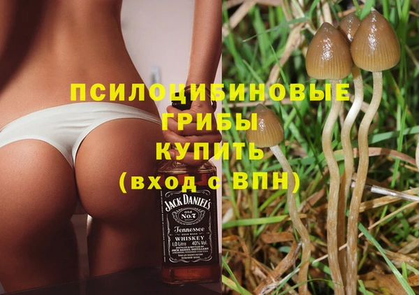 марки nbome Елабуга