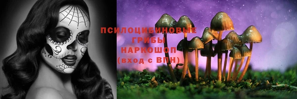 PSILOCYBIN Елизово