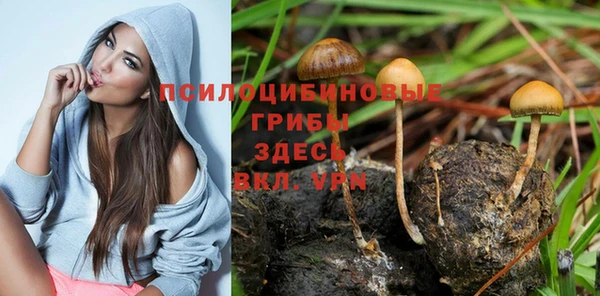 Альфа ПВП Ельня