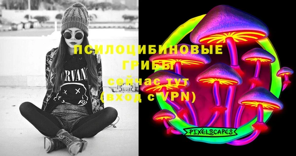Альфа ПВП Ельня