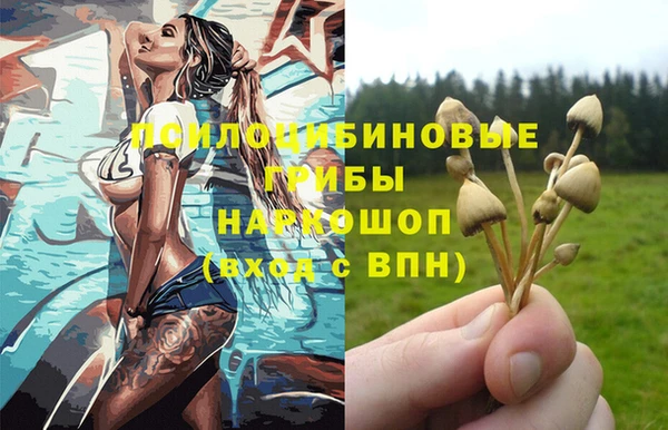 PSILOCYBIN Елизово